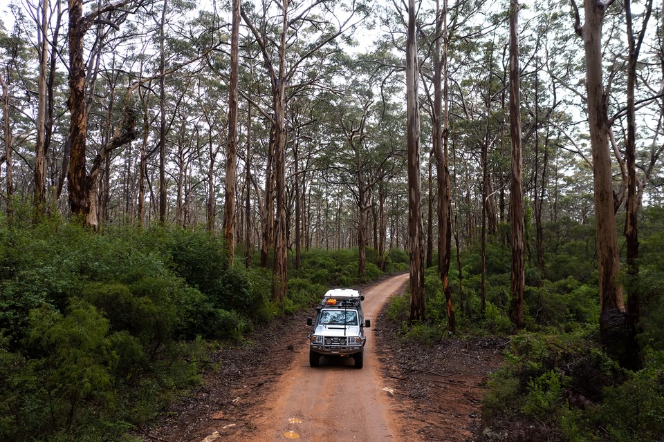 4WD driving through the Boranup Karri Forest, Margaret River