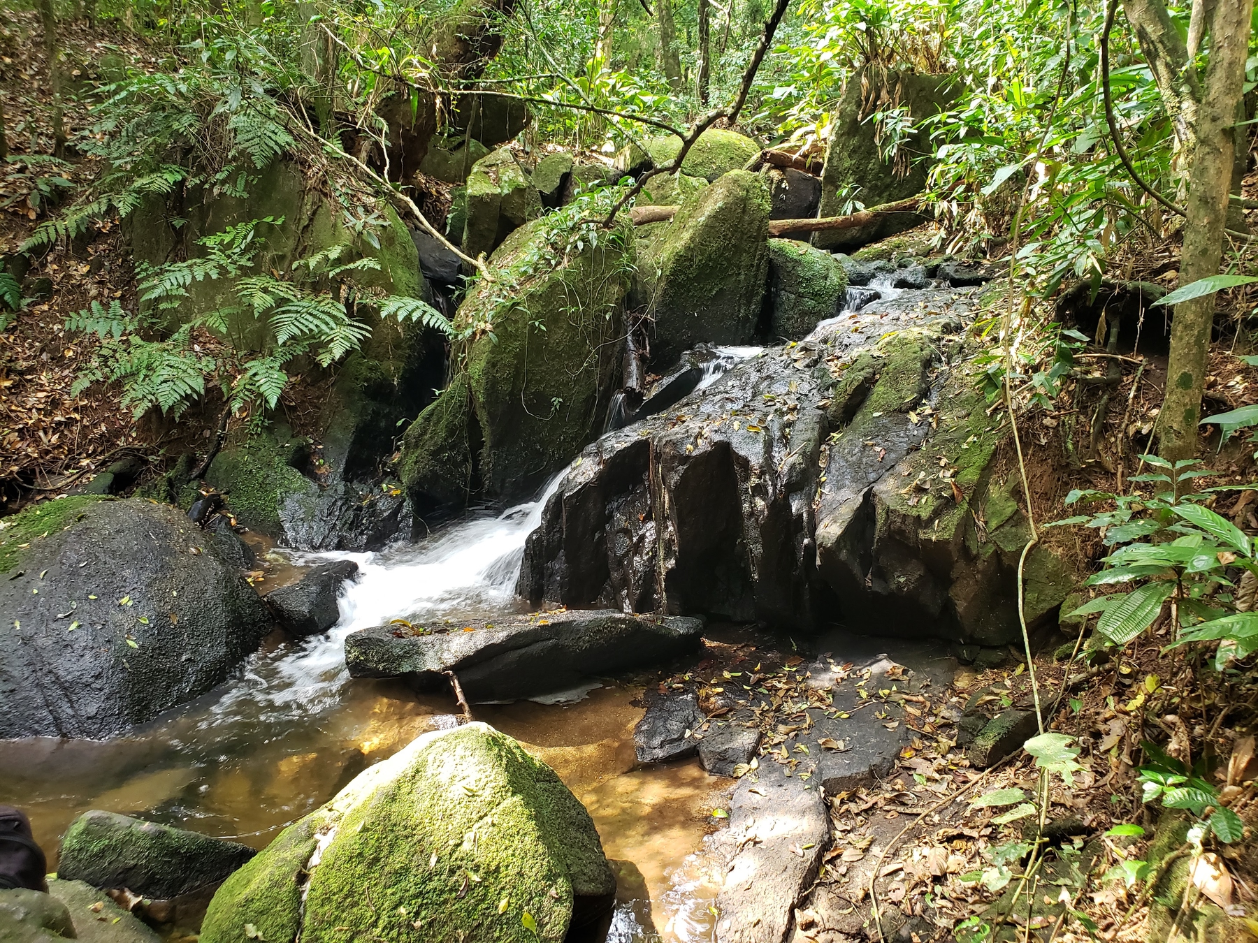Trilha da Cachoeira no Parque da Cantareira - Núcleo Engordador - Perfeita para quem busca uma trilha com cachoeira em SP