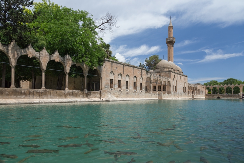 Şanlıurfa Gezilecek Yerler Balıklı Göl