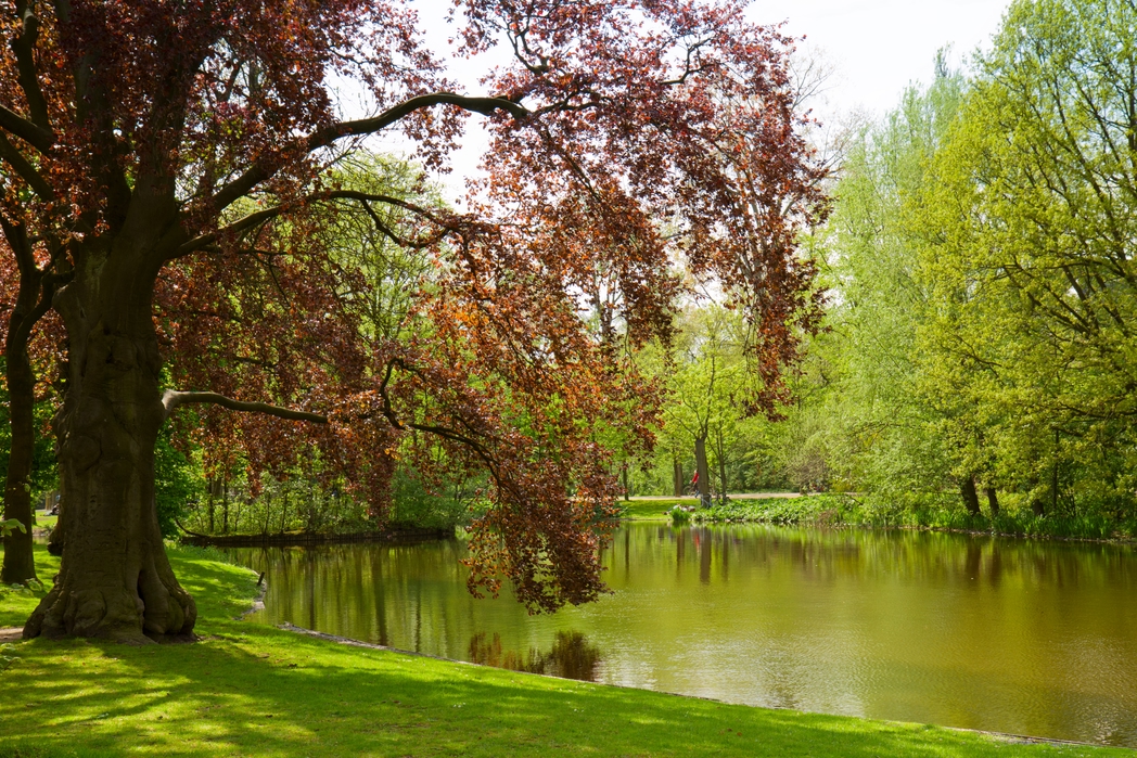Vondelpark Festival hosts gigs, theatre, dance and cabaret events throughout the summer.