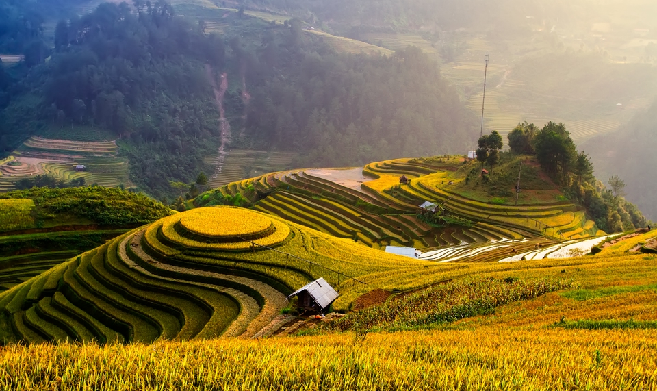 Rice terraces in Sapa, Vietnam