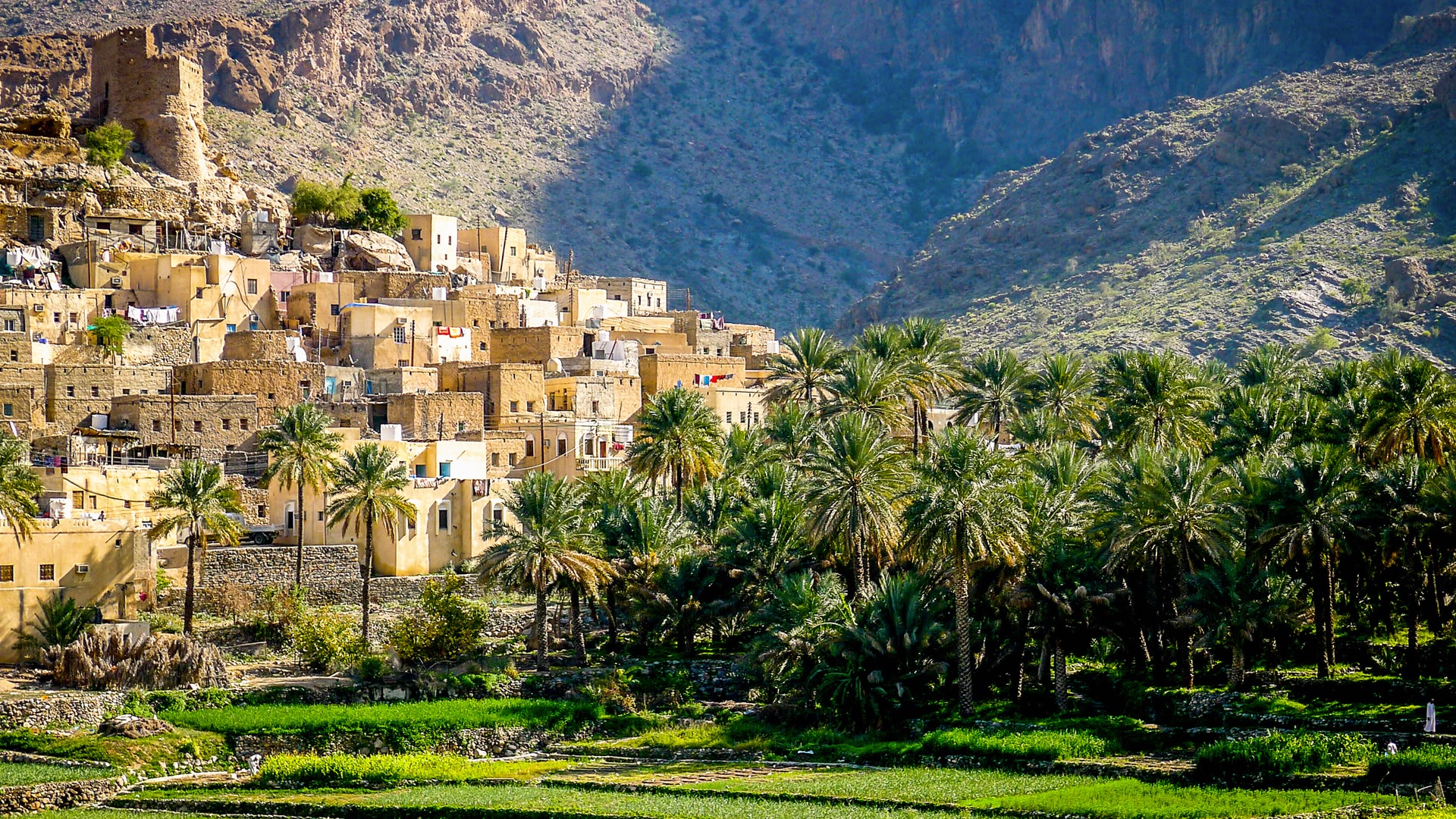 Muscat