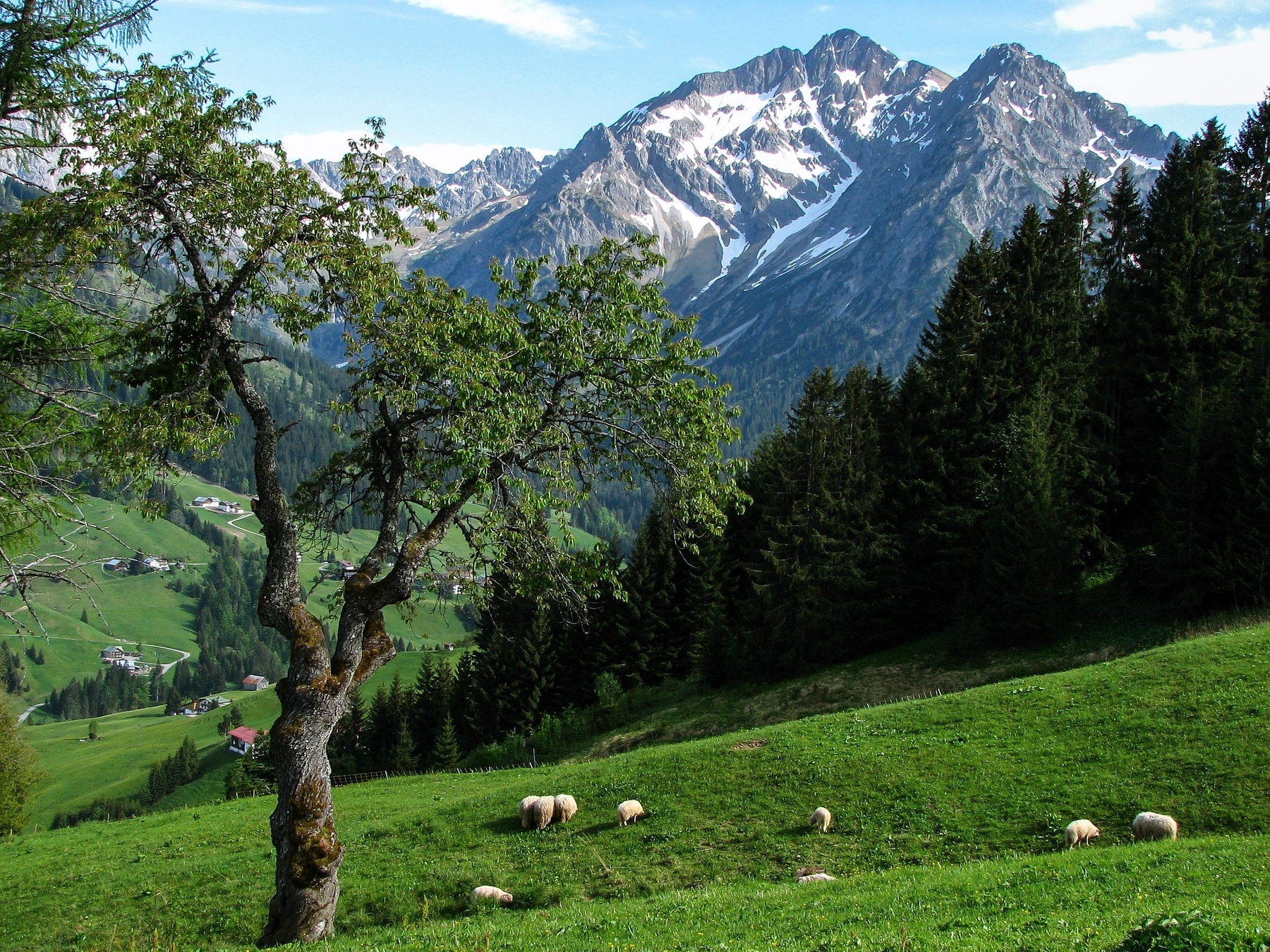 Naturwunder Österreichs: Kleinwalsertal