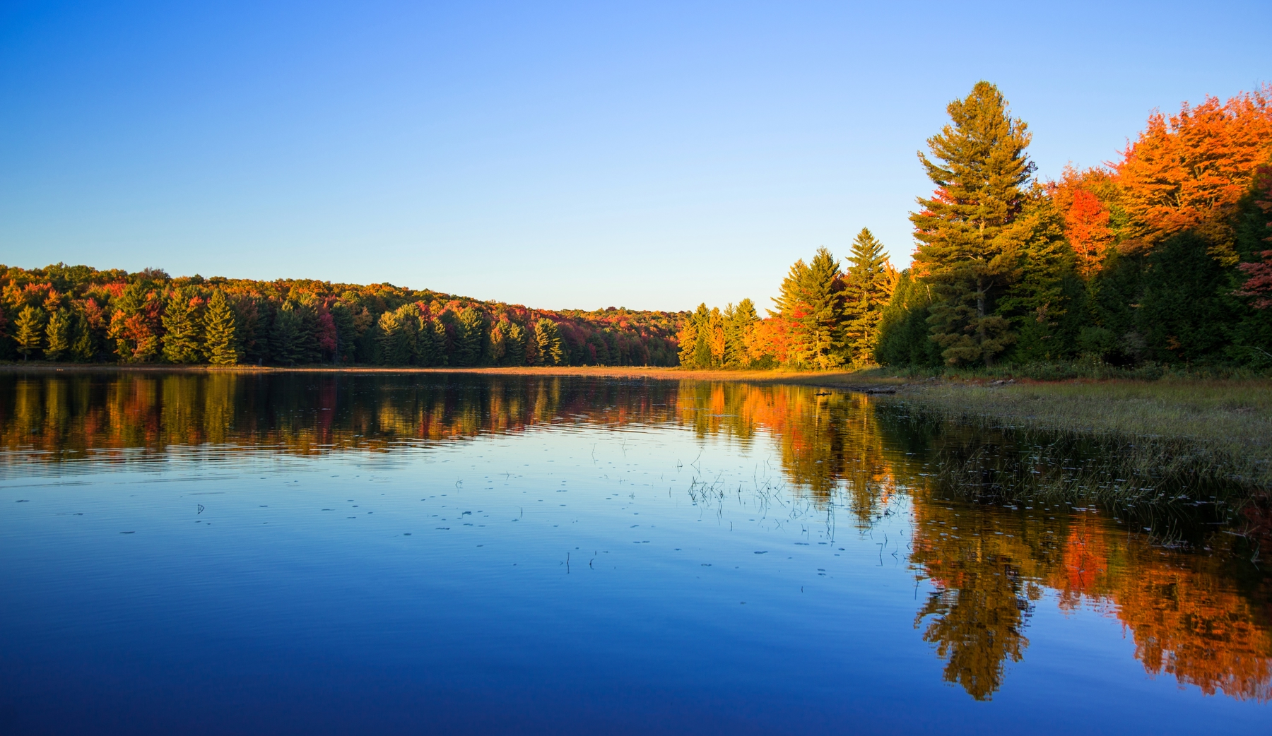 lake in Algonquin park in Ontario