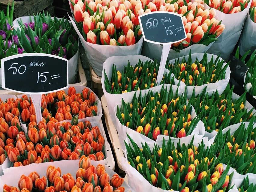 Tulips for sale in a market in Amsterdam.