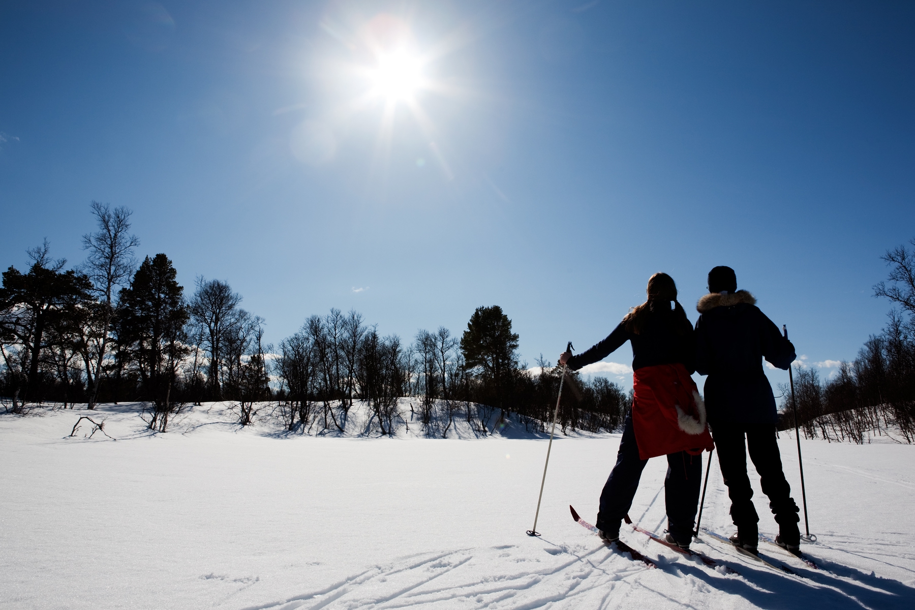 Two skiers pause to view the deciduous trees and terrain on a sunny day.