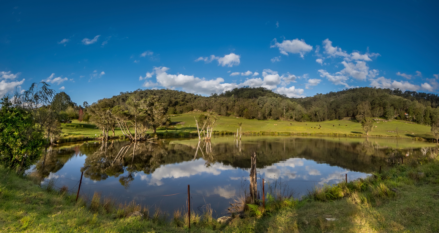 Hunter Valley, NSW