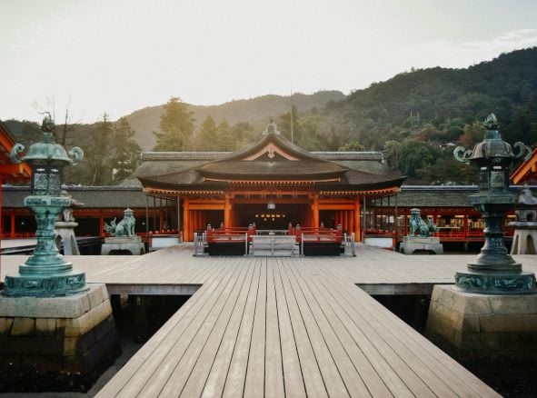 cenador de madera cerca de los árboles