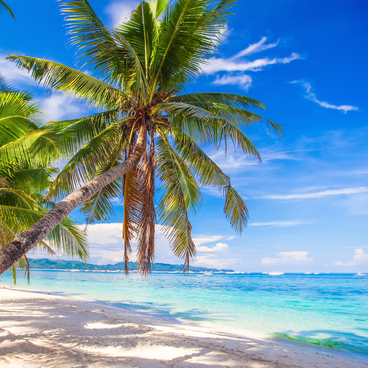 Der ultimative Reiseführer für Südostasien: Philippinen
