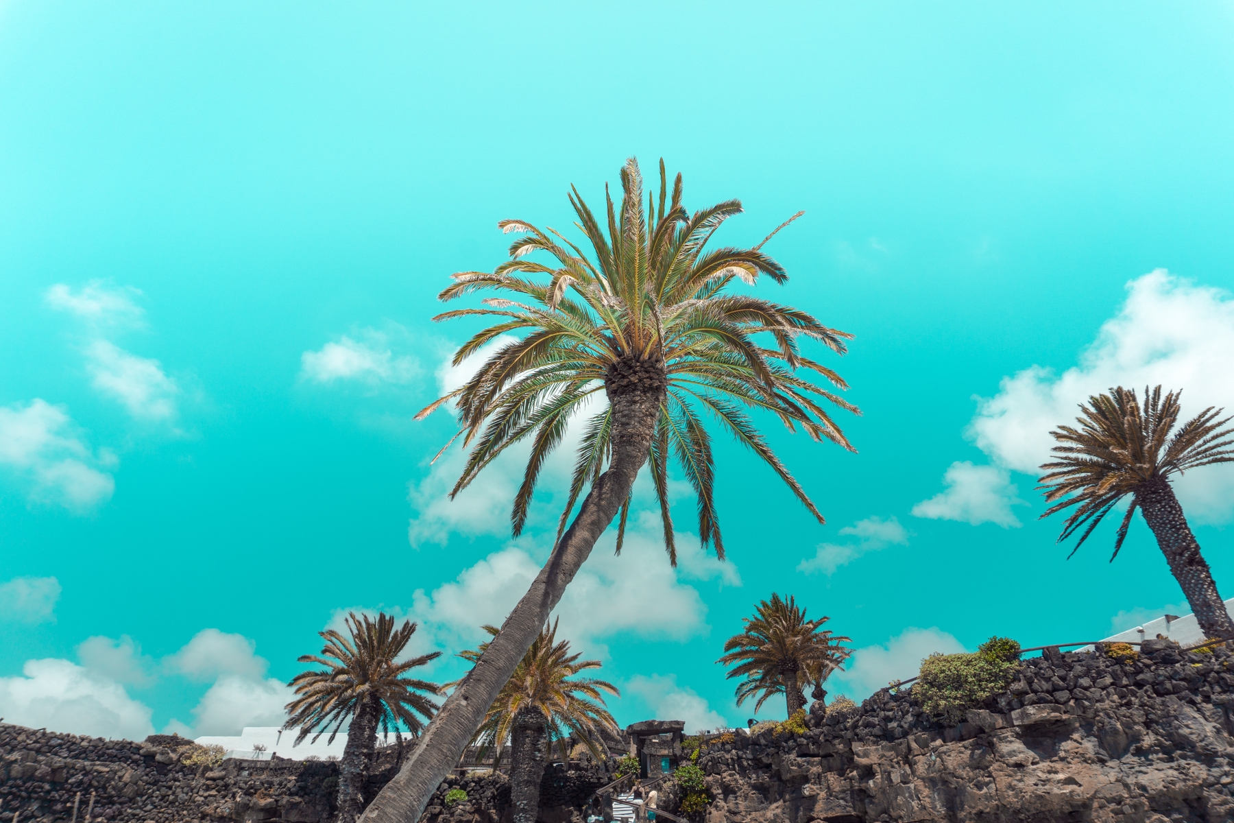 Vakantie Canarische Eilanden