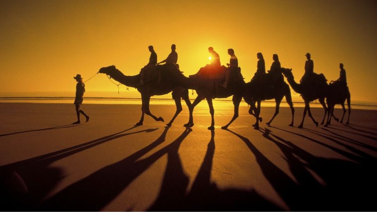 people riding animals on a sunset