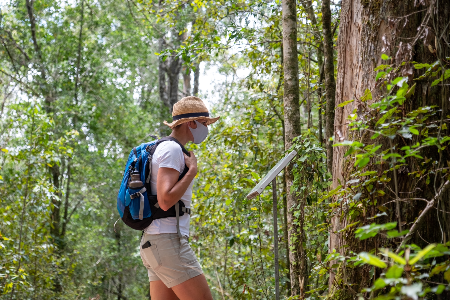 在公眾場所需要佩戴口罩