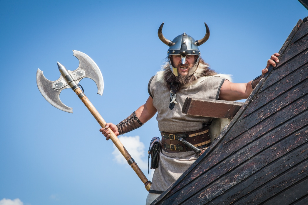 A Viking warrior like the ones you can find in Dublinia