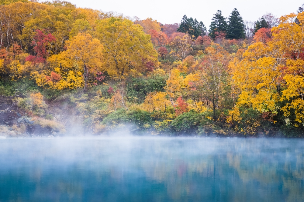 青森県 酸ヶ湯温泉にある地獄沼は紅葉の名所でもある