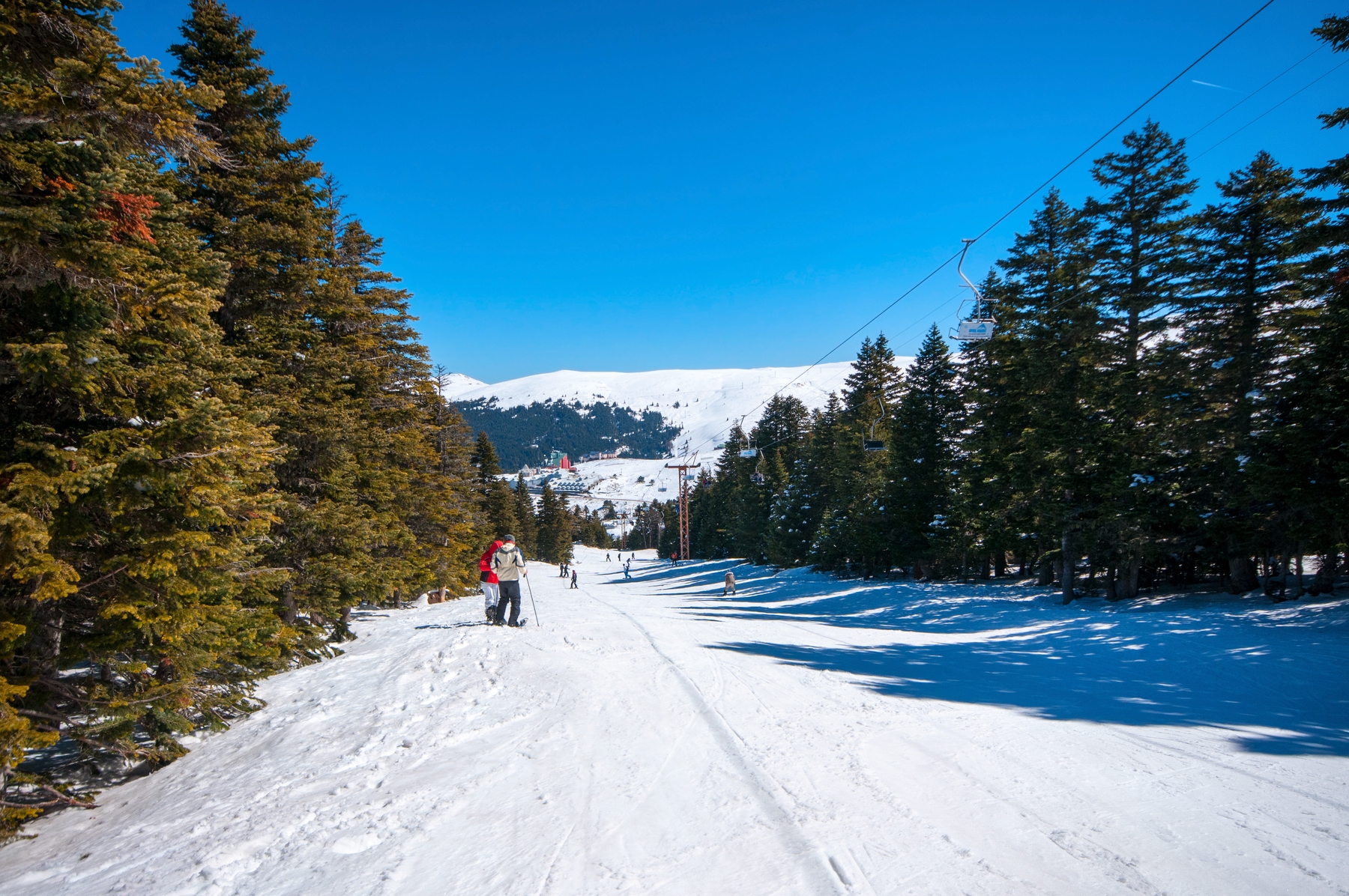 A tree-lined snow-covered piste in Uludag, Turkey