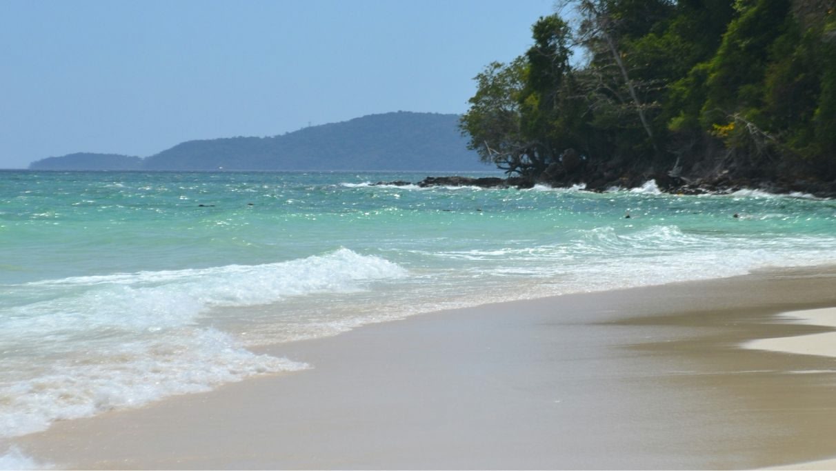 Sandy white beach close to the nature during daytime.