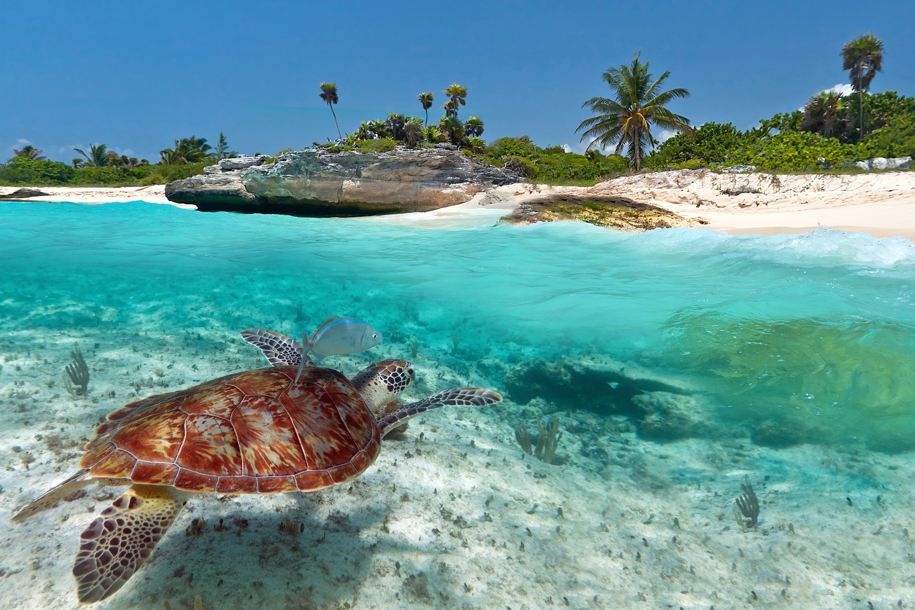 Reiseziel für den Osterurlaub 2021: St. Kitts und Nevis
