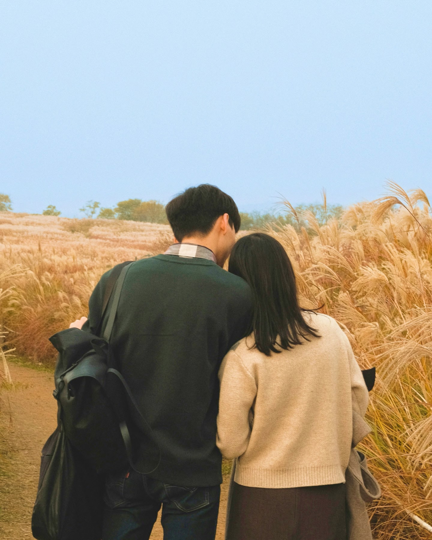 カップルが寄り添って、青空の下で背の高い黄金色の草原を歩いている。