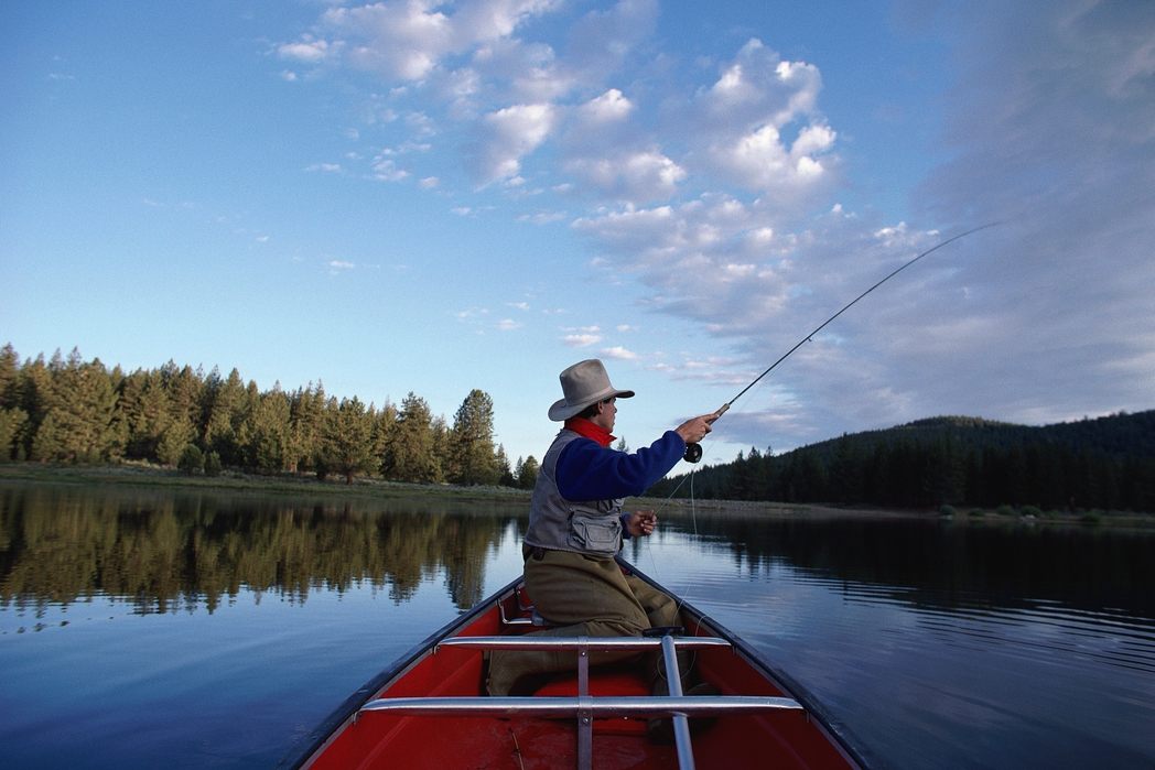 Fisherman in a boat surrounded by lush countryside