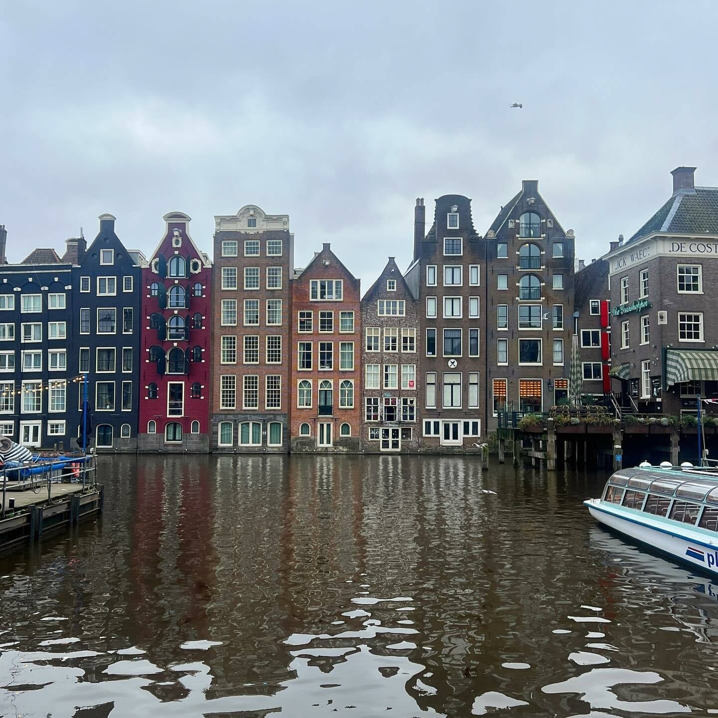 The Netherlands is one of 29 countries you can visit on a Schengen visa