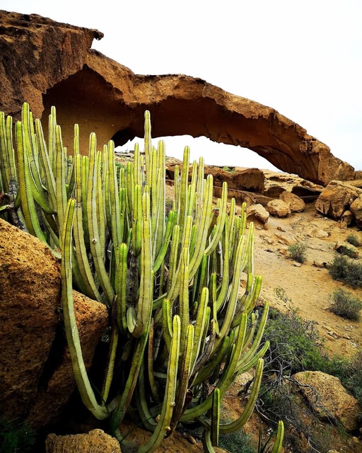pour le soleil en avril, voyager à Tenerife