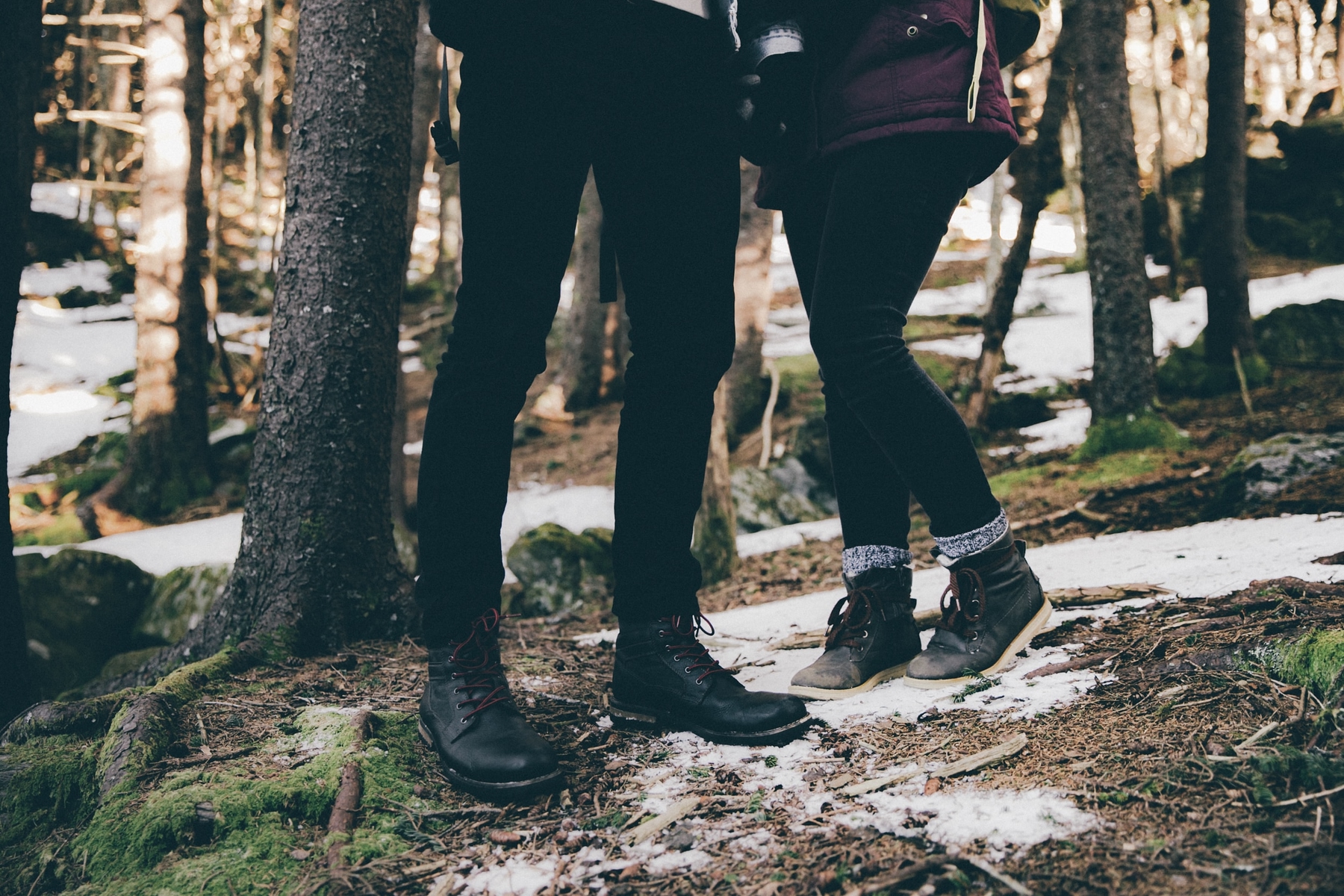 San Valentino nella foresta