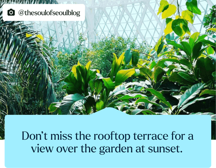 A view of plants adorning the rooftop terrace at the Seongsu-dong store.