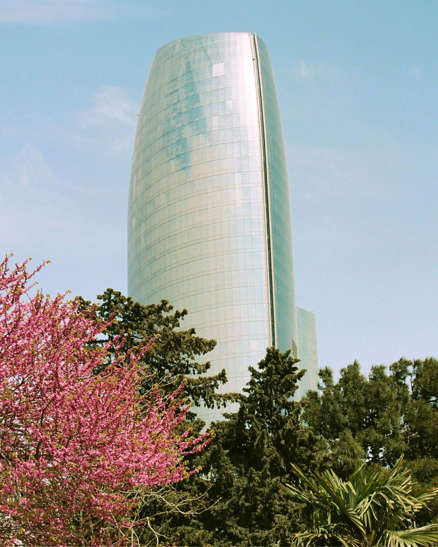 One of the Flame Towers in Baku, Azerbaijan, a tall, silver building rising from lush trees.