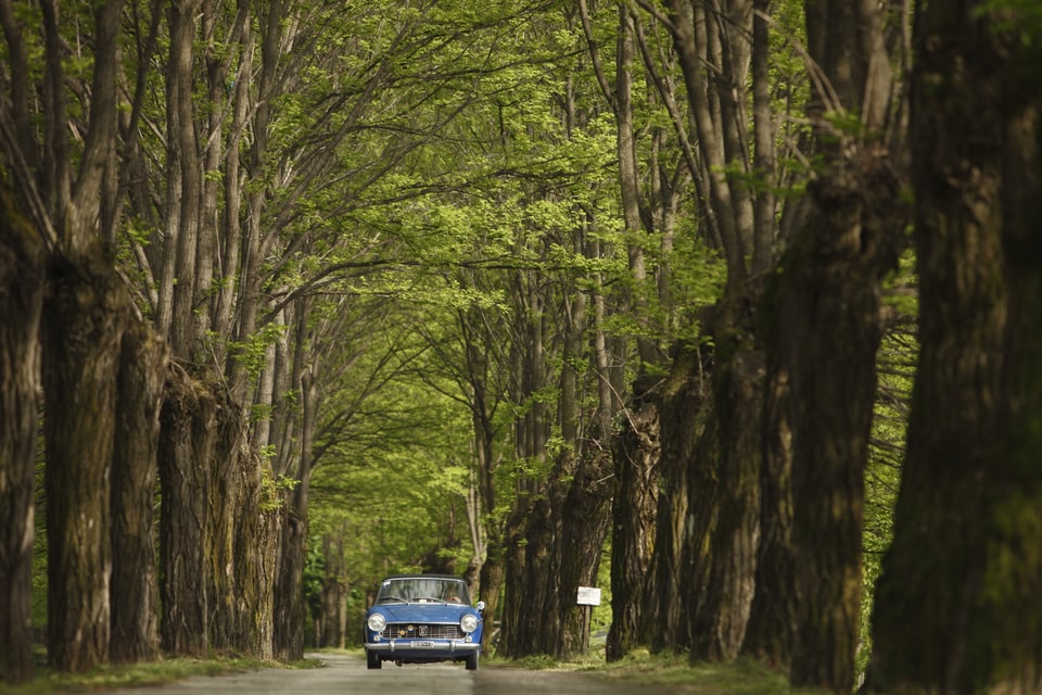 Road trip Saksa: Autoloma Saksassa Schwarzwaldin halki