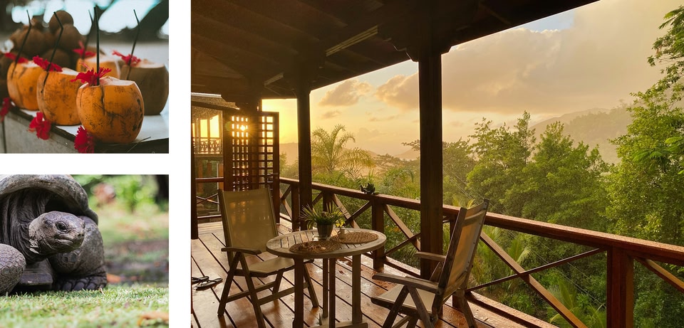 Tropical vacation scene with coconut drinks, a giant tortoise, and a sunset view from a wooden deck.