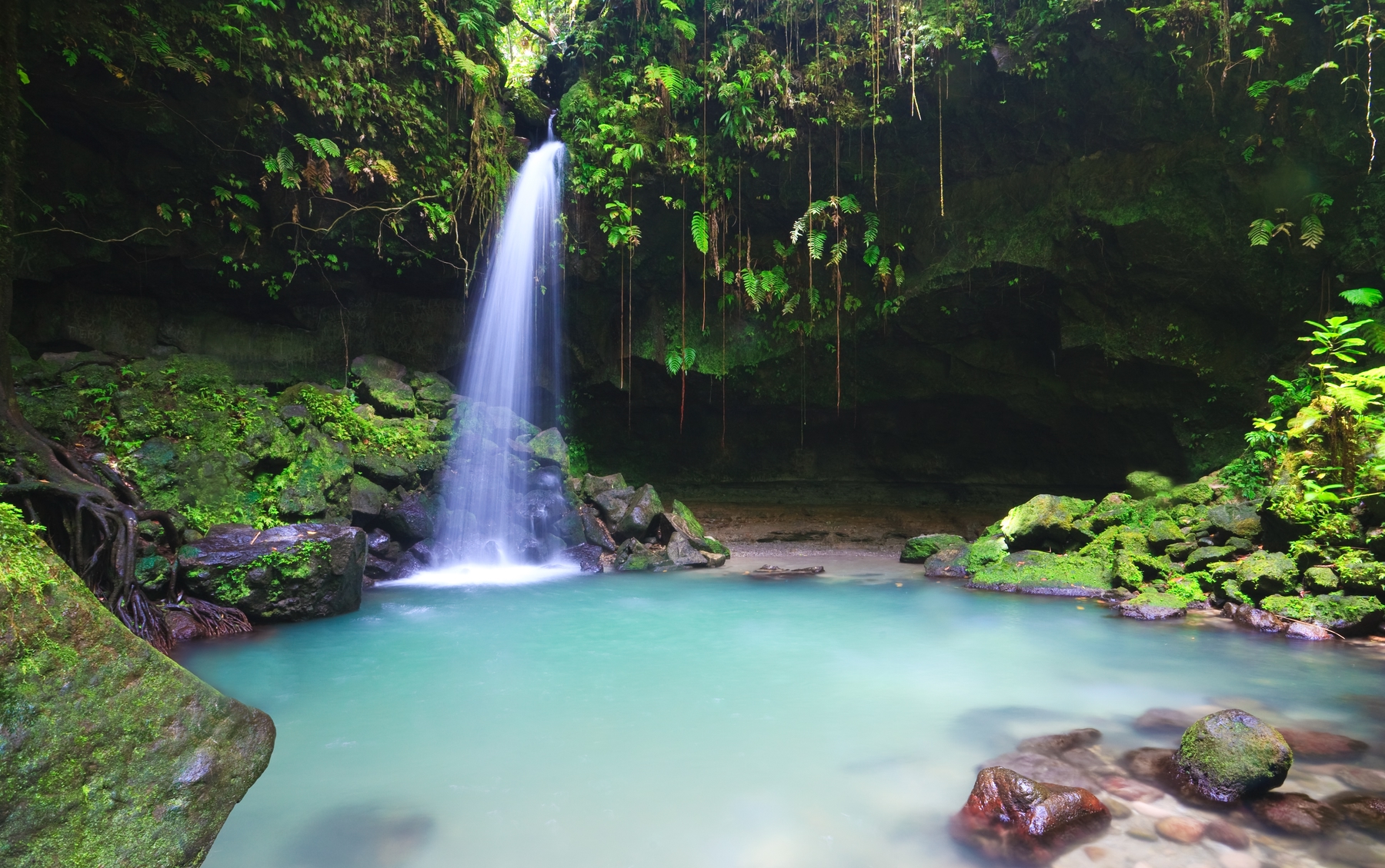 emerald pool dominica