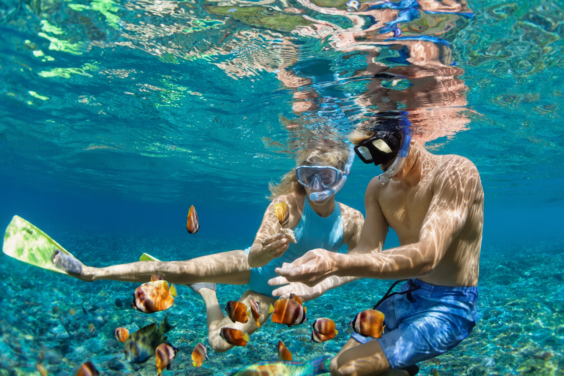 Young couple snorkel with fish in crystal-clear waters.