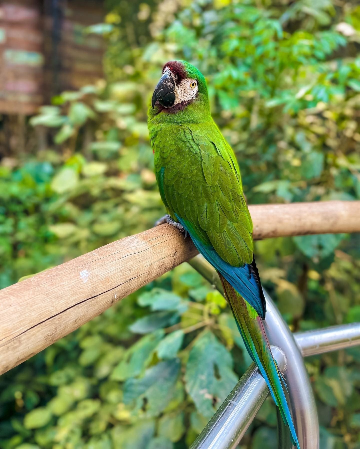 viajar en marzo: Argentina Iguazú