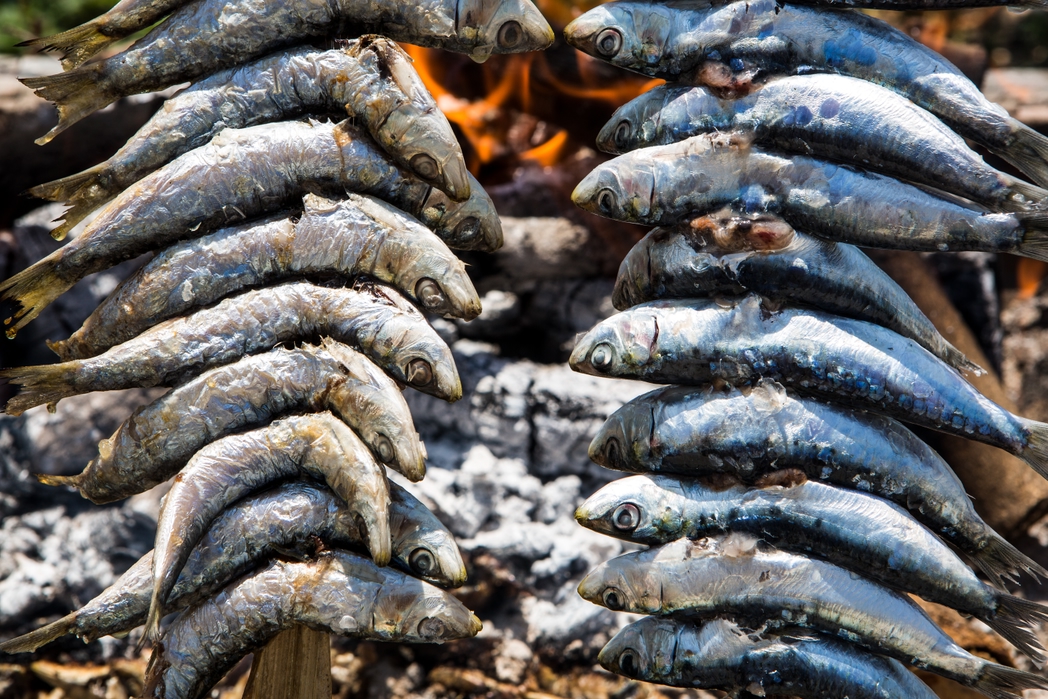 Grilled sardines on a stick - things to do in Malaga