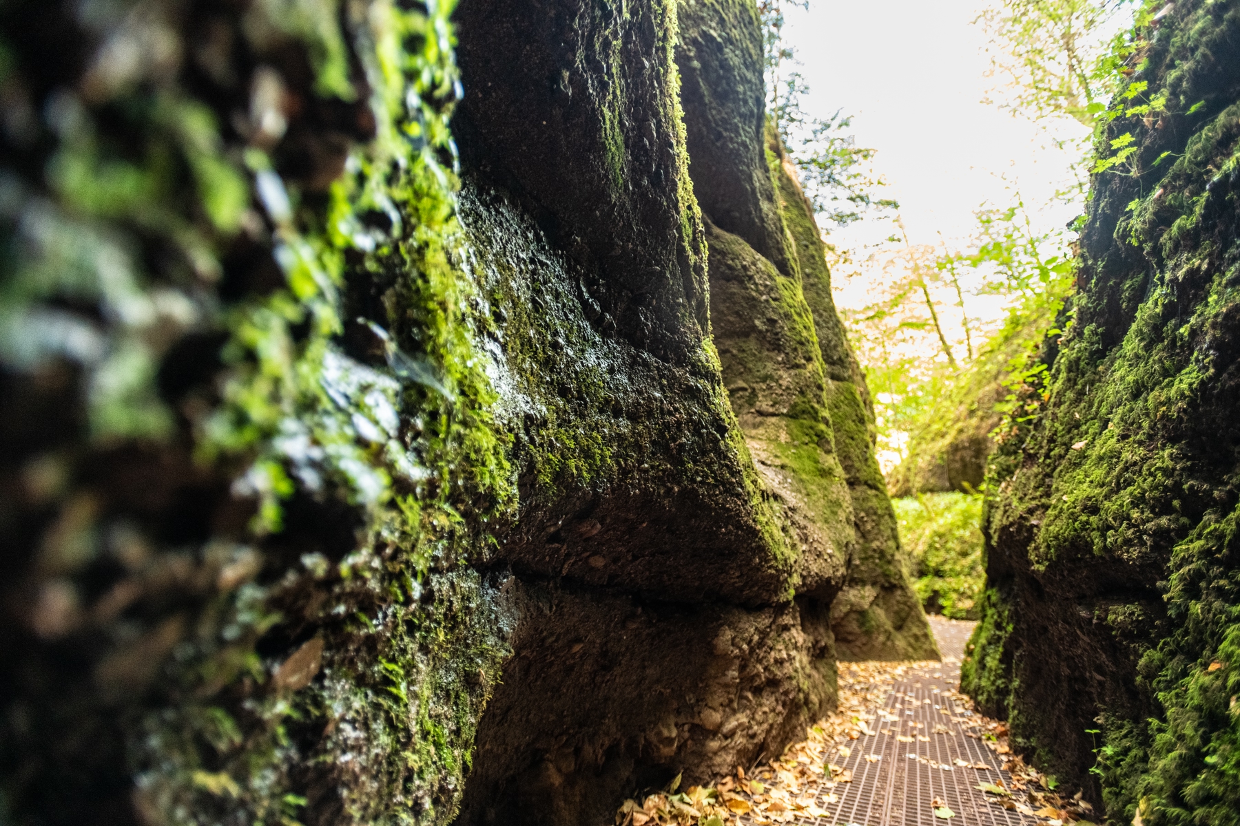 Urlaub im Thüringer Wald: Die Drachenschlucht