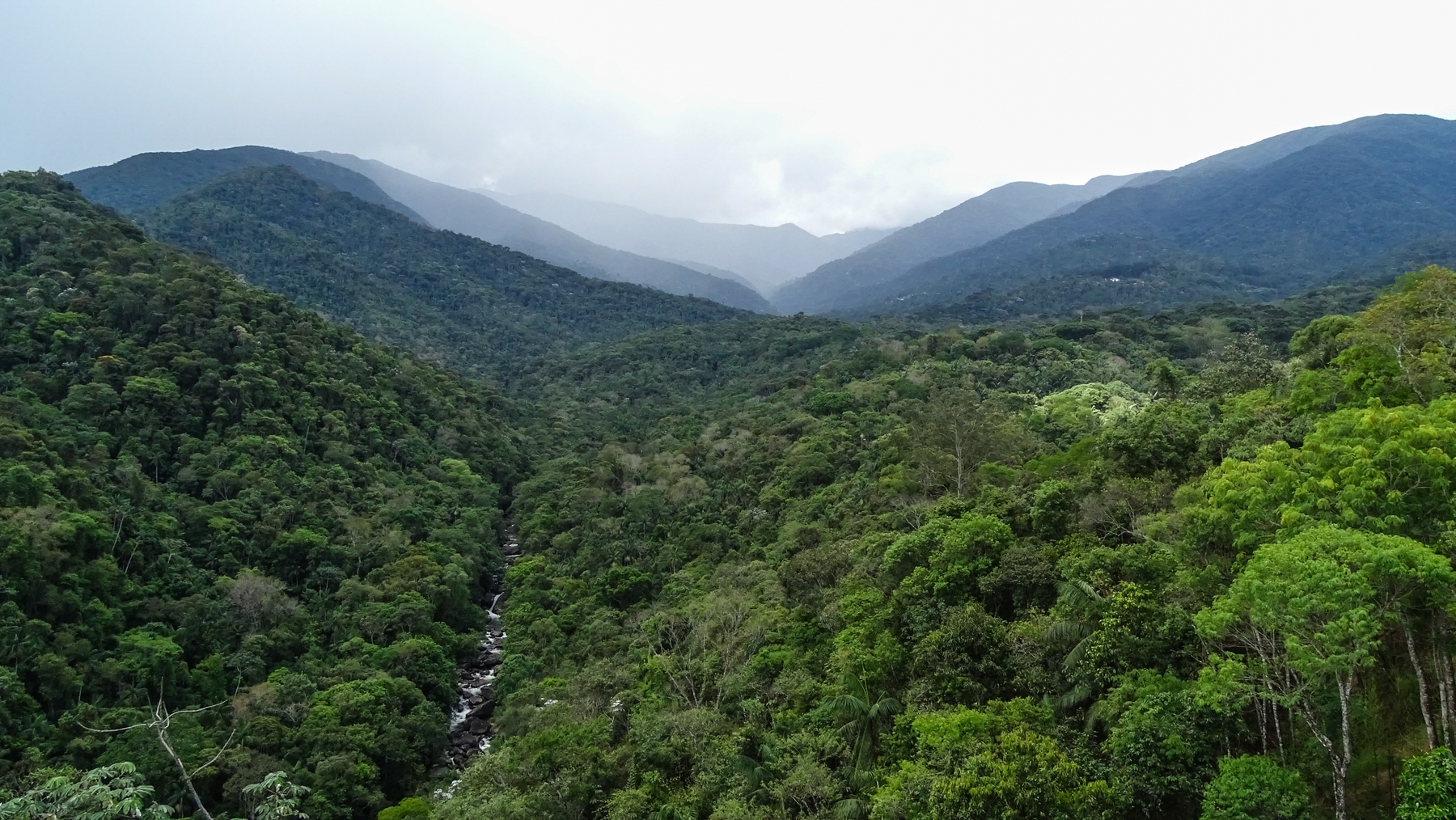 Survival Tour am Amazonas in Brasilien