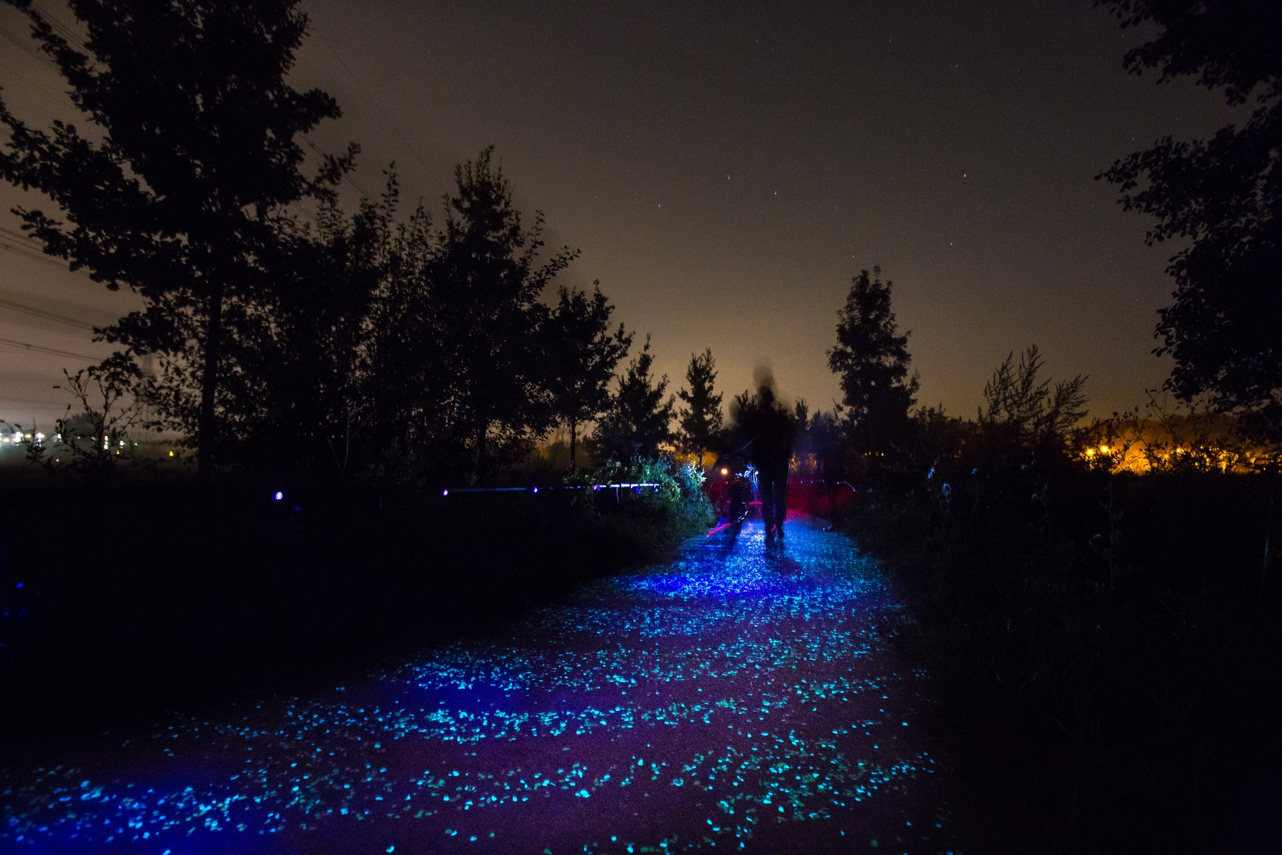Van Gogh-Roosgaarde fietspad