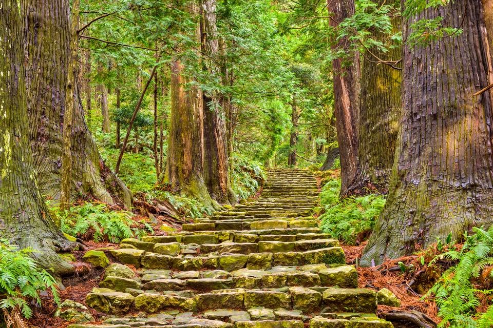 一度は行ってみたい！自然から力をもらえる国内のパワースポット