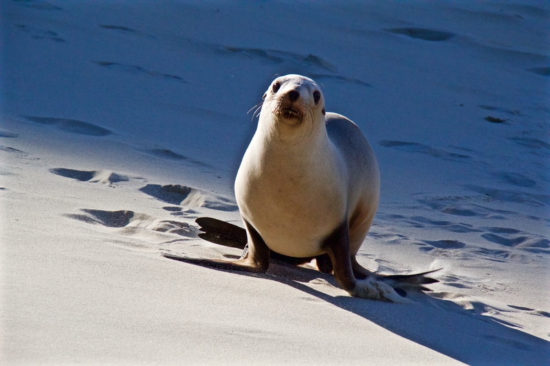 Skyscanner帶你去-紐西蘭1