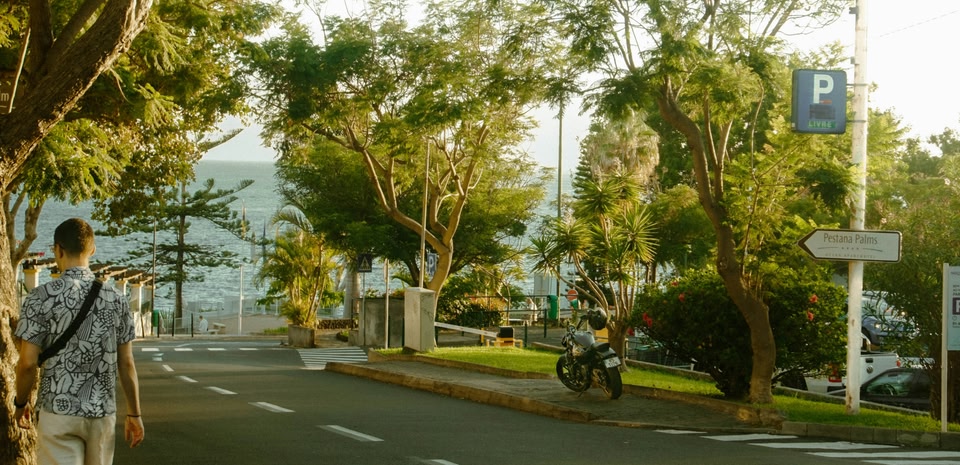 Une personne se promenant sur un boulevard ombragé au bord de mer, baigné de lumière dorée.