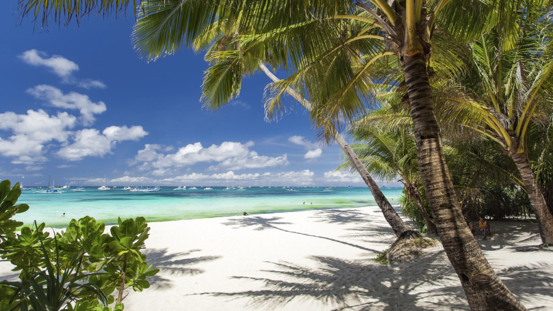 An image of white sand beach with palm trees in Cancun during daytime