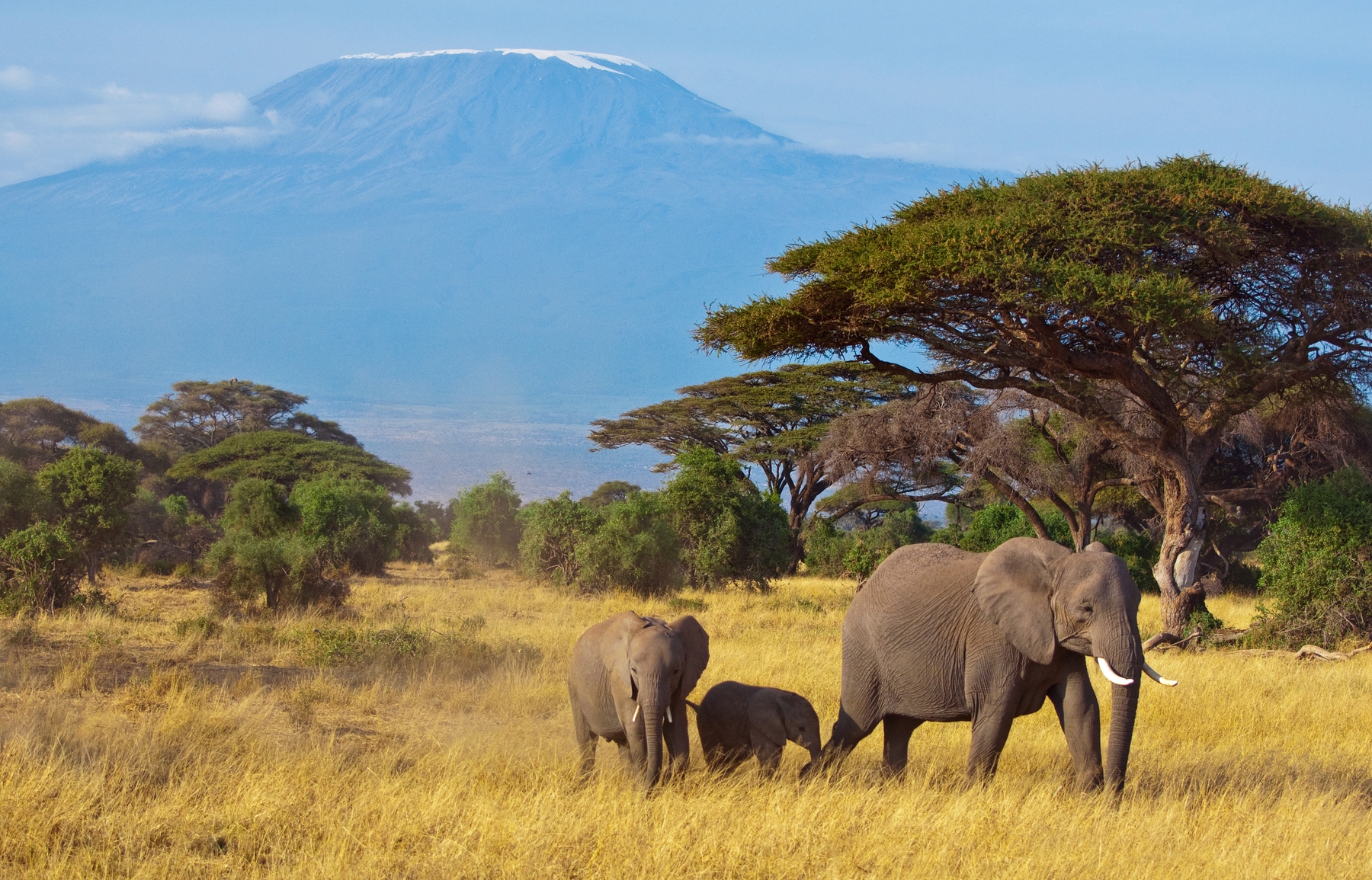 Vacaciones en familia 2021 en Tanzania