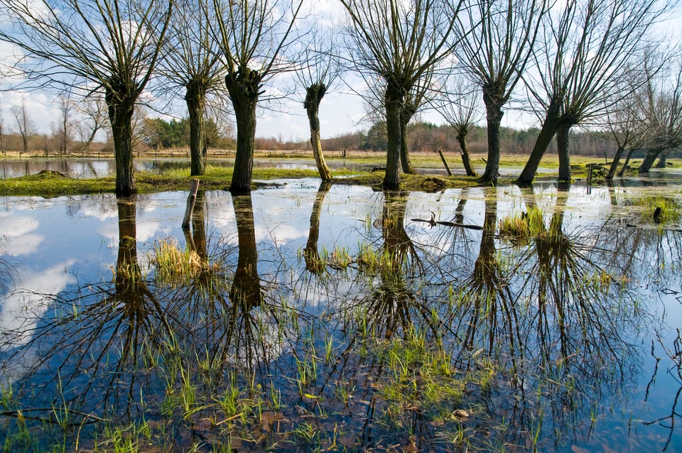 Wakacje na Mazowszu to relaks na łonie przyrody