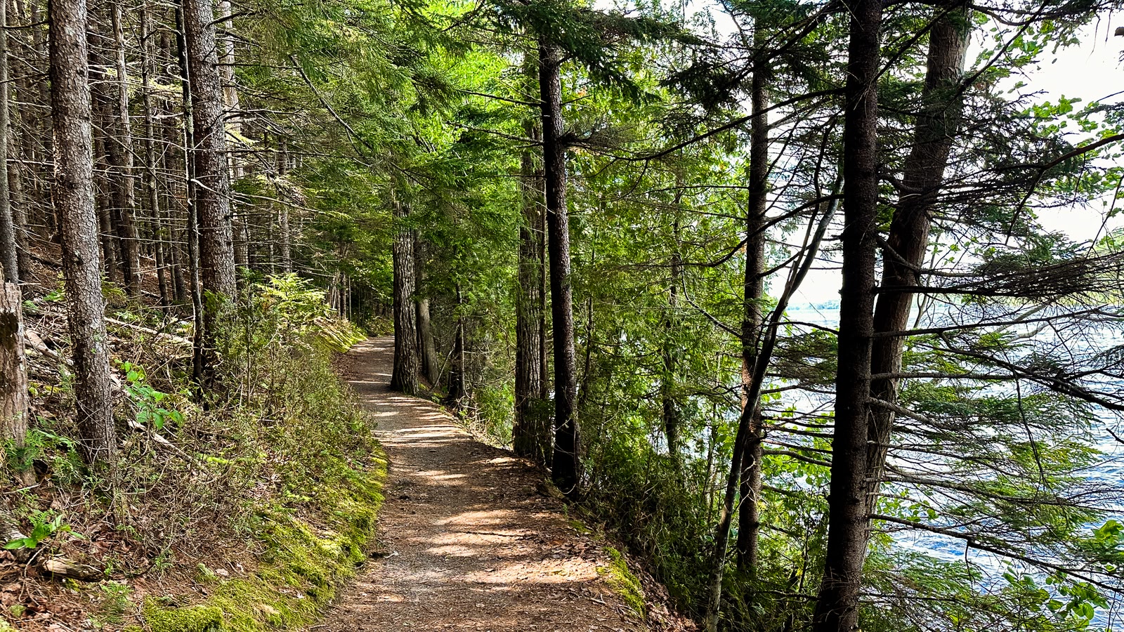 Bar Harbor
