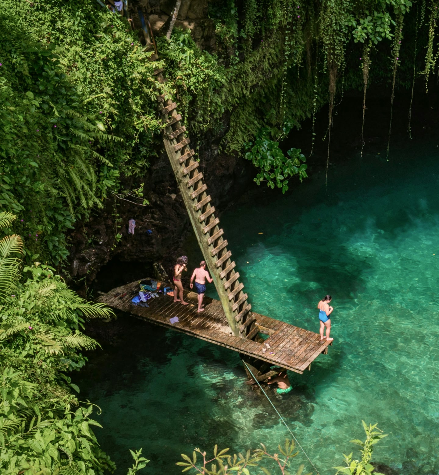 Looking down into Piula Cave Pool from a forest in Apia, Samoa, where people stand on a wooden platform looking into clear turquoise water