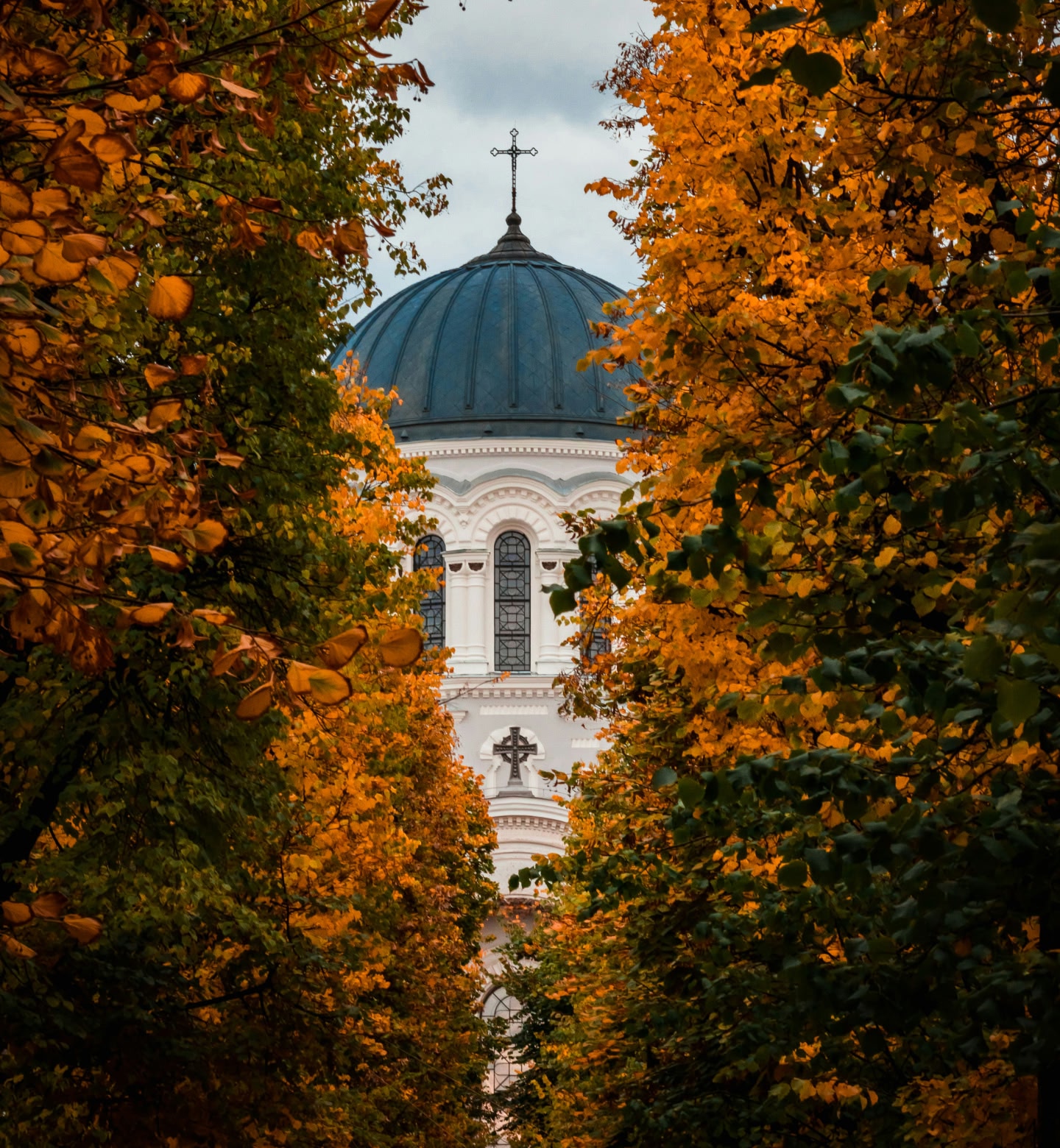 The top of a white church with a dark blue dome, glimpsed through autumnal leaves in Kaunas, Lithuania