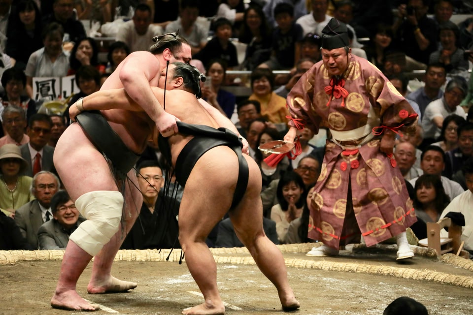 Sumo Wrestlers 