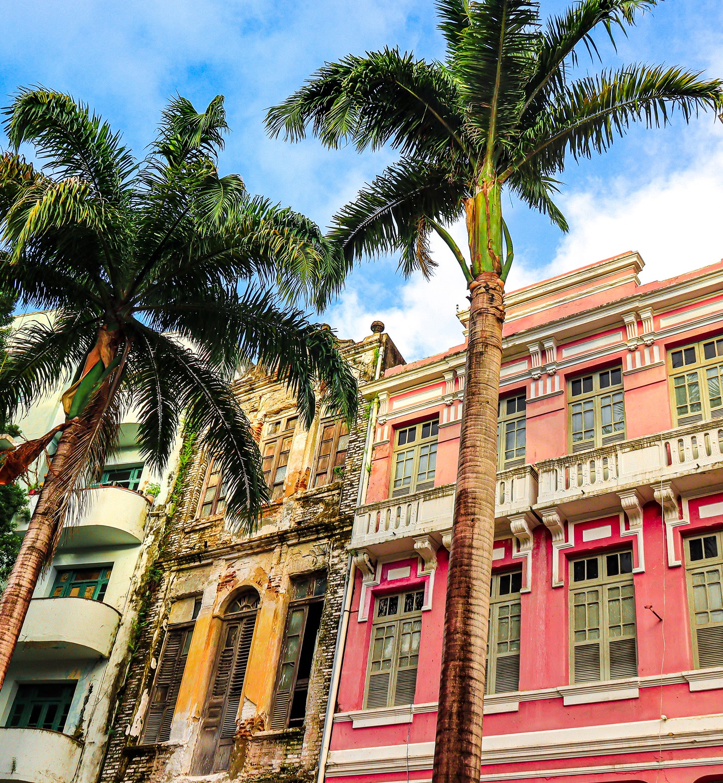 Edifícios coloniais em cores pastéis desbotadas atrás de palmeiras em Recife, Brasil.