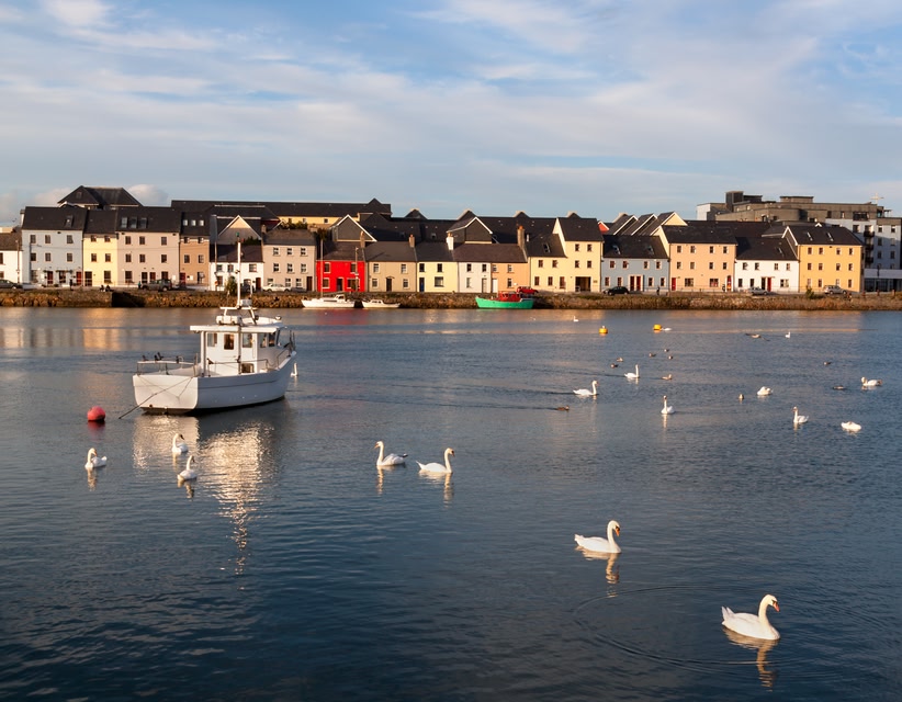 Boat and swans on a lake in County Galway.