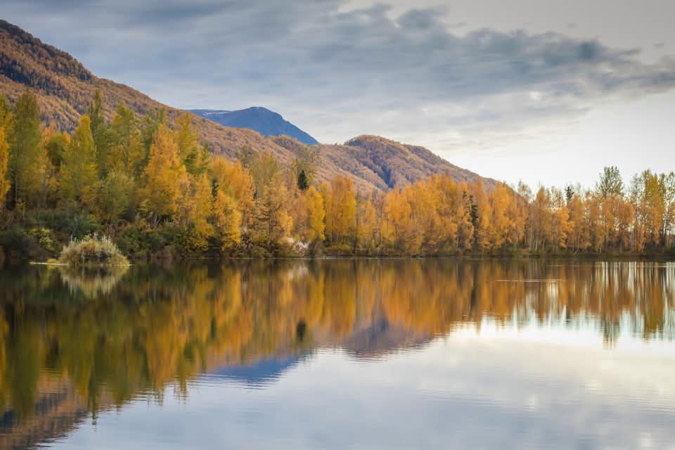 Autonvuokraus lentoasemalla Kenai